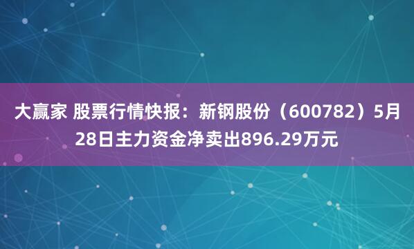 大赢家 股票行情快报：新钢股份（600782）5月28日主力资金净卖出896.29万元