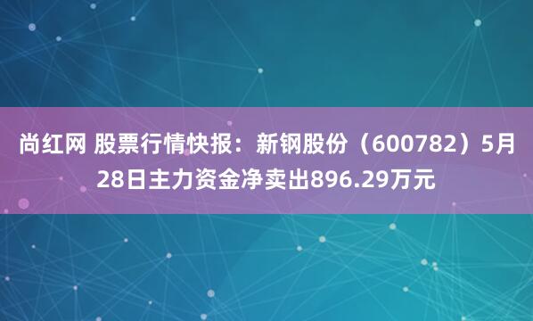尚红网 股票行情快报：新钢股份（600782）5月28日主力资金净卖出896.29万元